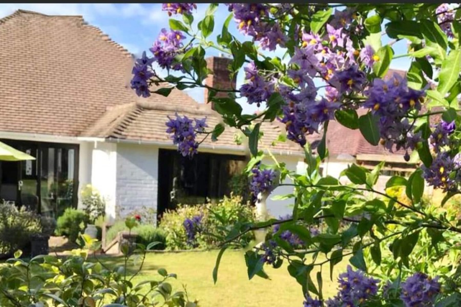 Images for Old Drive, Polegate, BN26 5ET