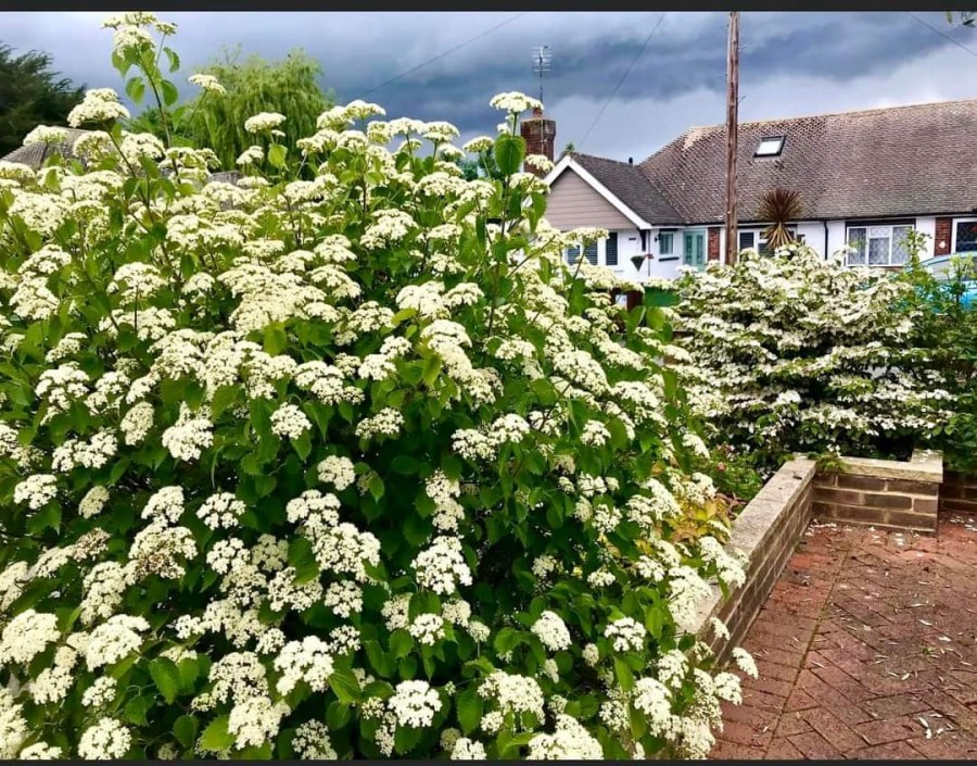 Images for Old Drive, Polegate, BN26 5ET