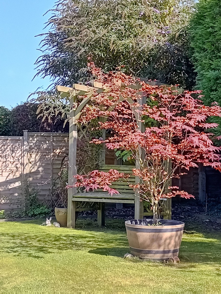 Images for Old Drive, Polegate, BN26 5ET