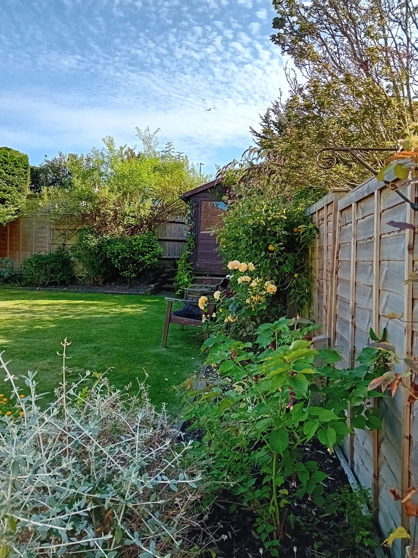 Images for Old Drive, Polegate, BN26 5ET