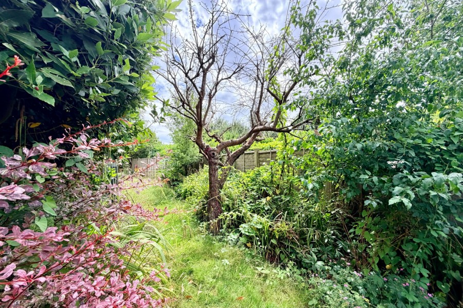 Images for The Street, Ripe, Lewes, BN8 6BD